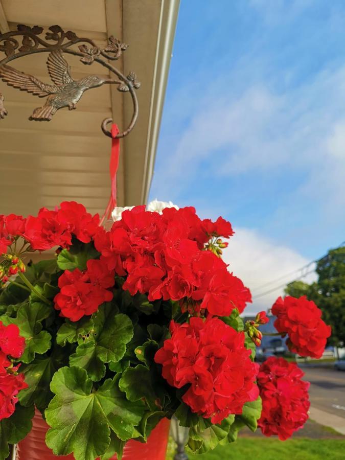 Inn On The Harbour Charlottetown Kültér fotó